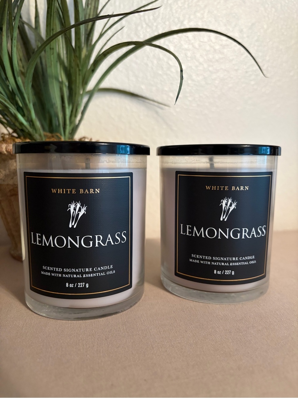 NEW 2 Bath & Body Works Single Wick LEMONGRASS Candles